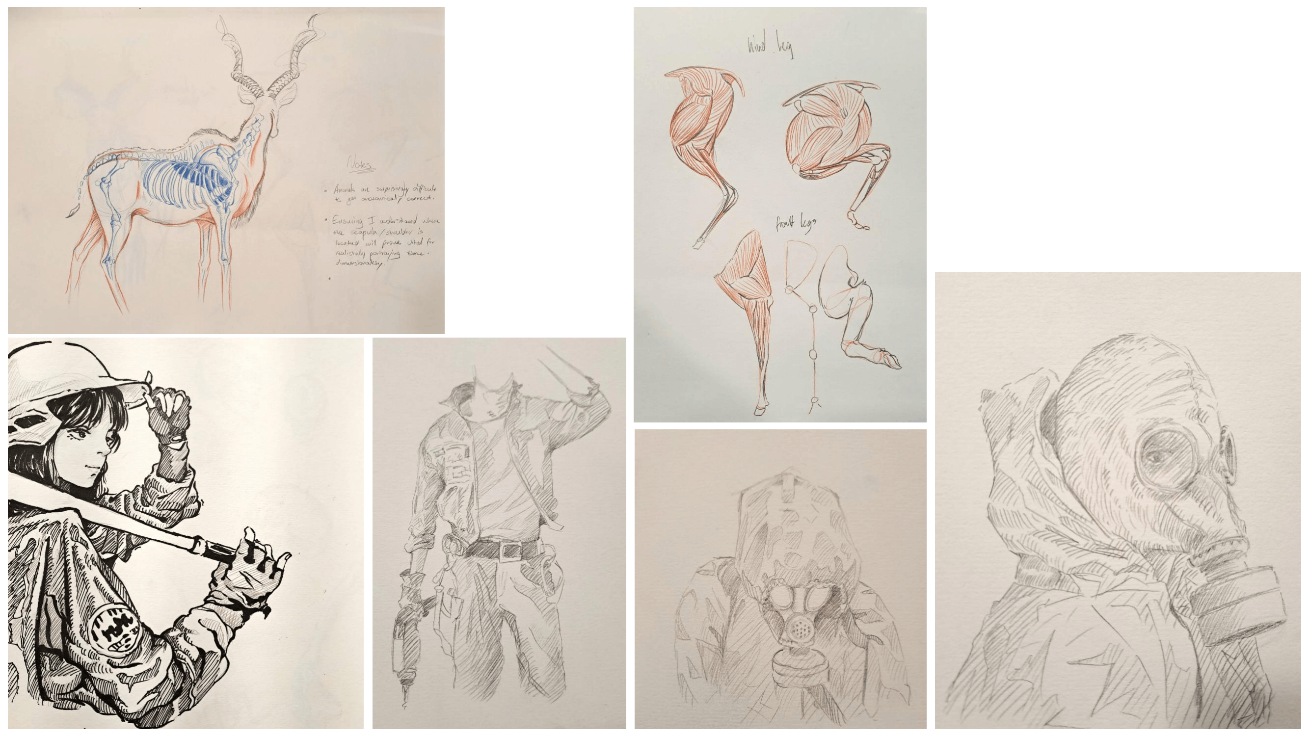 Drawing study 51